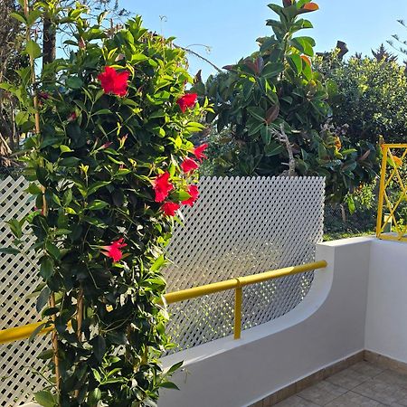 Apartamento Victoria 빌라모라 외부 사진